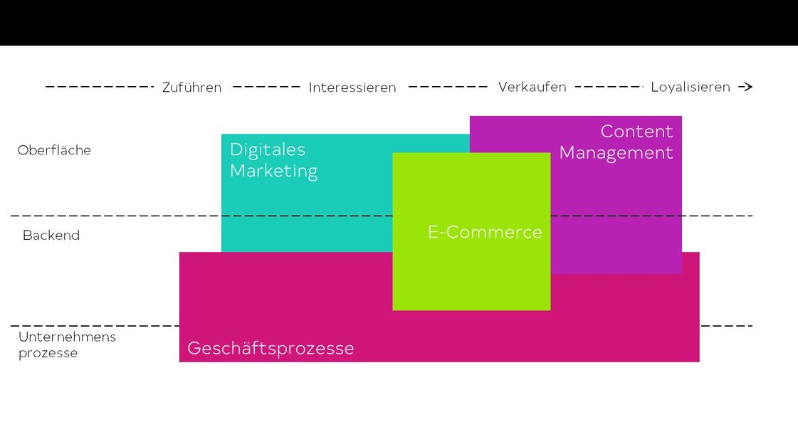 Die cellms® Basis besteht aus 4 Säulen 4 Säulen.png